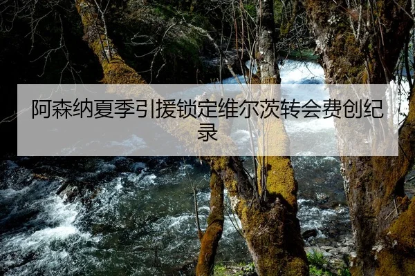 a-sen-na-xia-ji-yin-yuan-suo-ding-wei-er-ci-zhuan-hui-fei-chuang-ji-lu-2-408.jpg